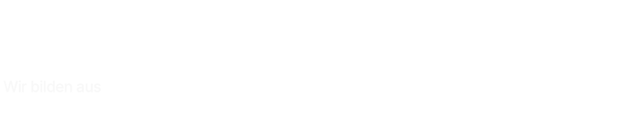 IHK Berlin Ausbildungsbetrieb, patentierte KI-Videoturm-Technologie und DEKRA-Zertifizierung